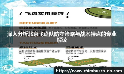 深入分析北京飞盘队防守策略与战术特点的专业解读
